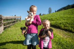 Griesbauer / Familie Gehwolf, Wagrain, Österreich